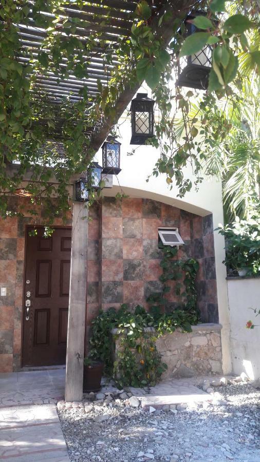 Casa Cacto En San Jose Del Cabo Villa Luaran gambar